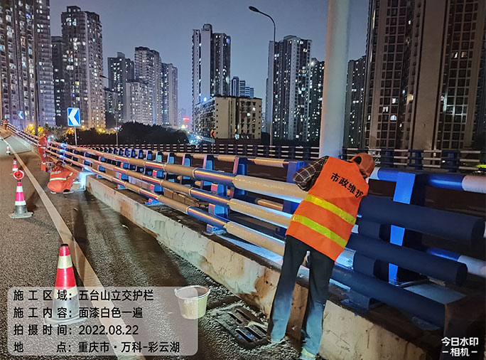 重慶市九龍坡區2022年結構容貌整治工程
